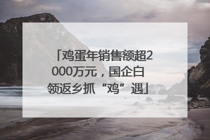 鸡蛋年销售额超2000万元，国企白领返乡抓“鸡”遇
