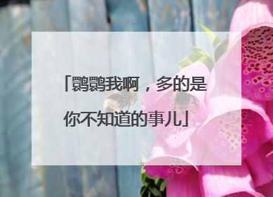 鹮鹮我啊，多的是你不知道的事儿
