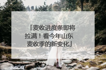 麦收进度条即将拉满！看今年山东麦收季的新变化