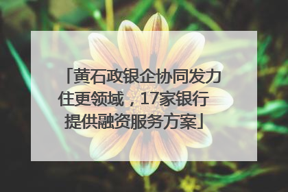 黄石政银企协同发力住更领域，17家银行提供融资服务方案