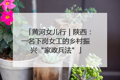 黄河女儿行｜陕西：一名下岗女工的乡村振兴“家政兵法”