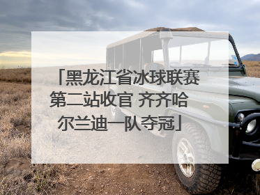 黑龙江省冰球联赛第二站收官 齐齐哈尔兰迪一队夺冠
