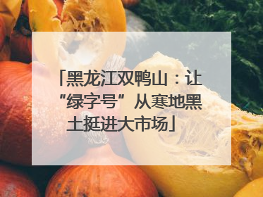 黑龙江双鸭山：让“绿字号”从寒地黑土挺进大市场