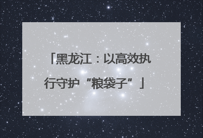 黑龙江：以高效执行守护“粮袋子”