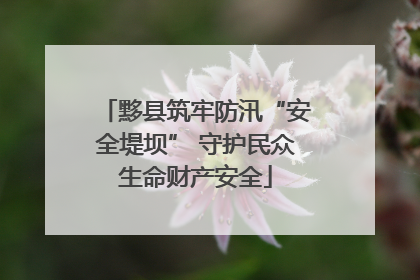黟县筑牢防汛“安全堤坝” 守护民众生命财产安全