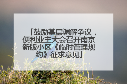 鼓励基层调解争议，便利业主大会召开南京新版小区《临时管理规约》征求意见