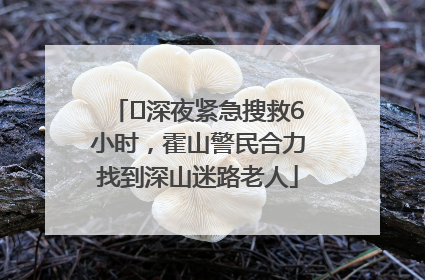 ﻿深夜紧急搜救6小时，霍山警民合力找到深山迷路老人