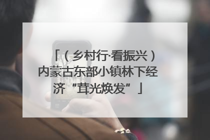 （乡村行·看振兴）内蒙古东部小镇林下经济“茸光焕发”