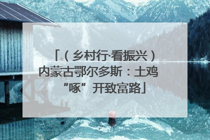 （乡村行·看振兴）内蒙古鄂尔多斯：土鸡“啄”开致富路