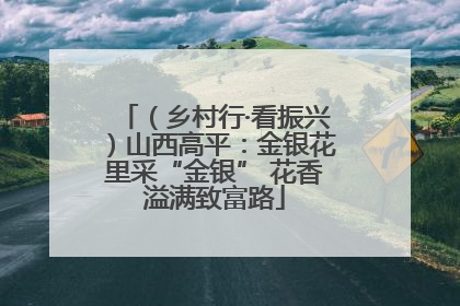 （乡村行·看振兴）山西高平：金银花里采“金银” 花香溢满致富路