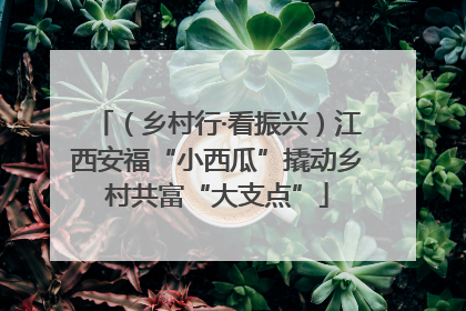 （乡村行·看振兴）江西安福“小西瓜”撬动乡村共富“大支点”