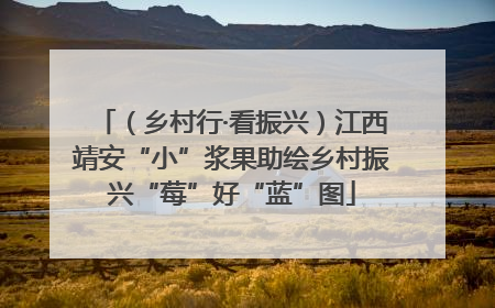 （乡村行·看振兴）江西靖安“小”浆果助绘乡村振兴“莓”好“蓝”图
