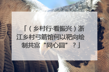 （乡村行·看振兴）浙江乡村弓箭馆何以靶向绘制共富“同心圆”？