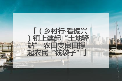 （乡村行·看振兴）镇上建起“土地驿站” 农田变良田撑起农民“钱袋子”