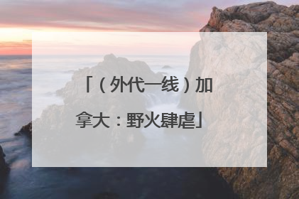（外代一线）加拿大：野火肆虐