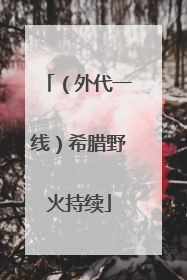 （外代一线）希腊野火持续