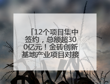 12个项目集中签约，总额超300亿元！金砖创新基地产业项目对接会举行