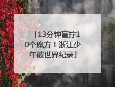 13分钟盲拧10个魔方！浙江少年破世界纪录