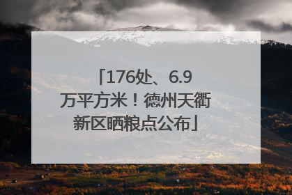 176处、6.9万平方米！德州天衢新区晒粮点公布