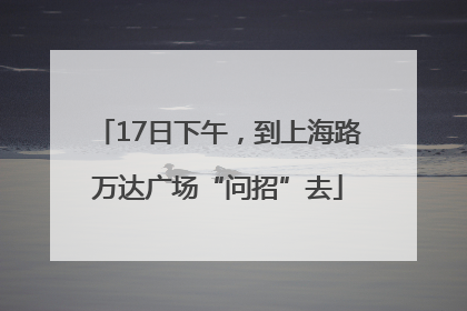 17日下午，到上海路万达广场“问招”去
