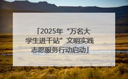 2025年“万名大学生进千站”文明实践志愿服务行动启动