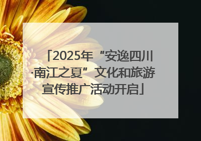 2025年“安逸四川·南江之夏”文化和旅游宣传推广活动开启