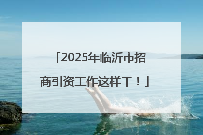 2025年临沂市招商引资工作这样干！