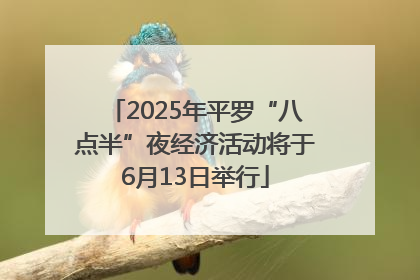 2025年平罗“八点半”夜经济活动将于6月13日举行