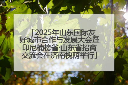 2025年山东国际友好城市合作与发展大会暨印尼楠榜省·山东省招商交流会在济南槐荫举行