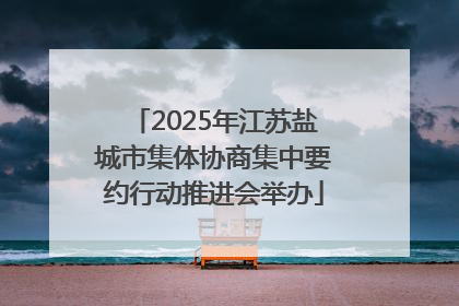2025年江苏盐城市集体协商集中要约行动推进会举办