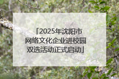 2025年沈阳市网络文化企业进校园双选活动正式启动