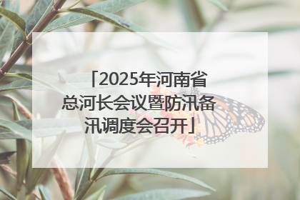 2025年河南省总河长会议暨防汛备汛调度会召开