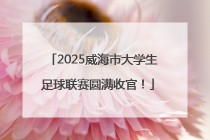 2025威海市大学生足球联赛圆满收官！