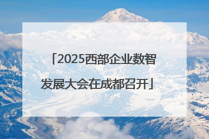 2025西部企业数智发展大会在成都召开