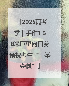 2025高考季｜手作1.68米巨型向日葵预祝考生“一举夺魁”