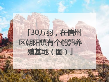 30万羽，在信州区朝阳镇有个鹌鹑养殖基地（图）