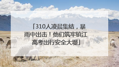 310人凌晨集结，暴雨中出击！他们筑牢镇江高考出行安全大堤