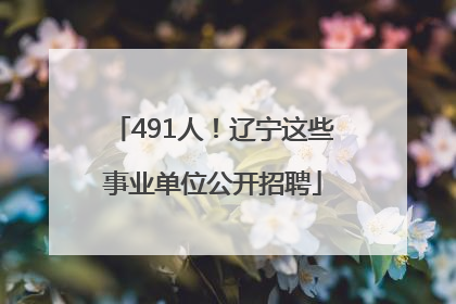 491人！辽宁这些事业单位公开招聘
