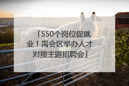 550个岗位促就业！禹会区举办人才对接主题招聘会