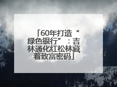 60年打造“绿色银行”：吉林通化红松林藏着致富密码