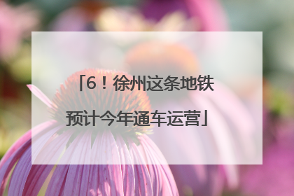 6！徐州这条地铁预计今年通车运营