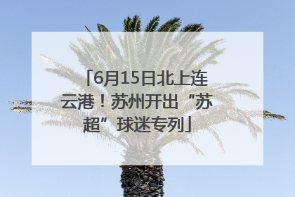6月15日北上连云港！苏州开出“苏超”球迷专列