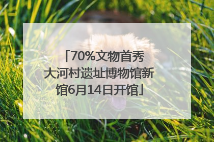 70%文物首秀 大河村遗址博物馆新馆6月14日开馆