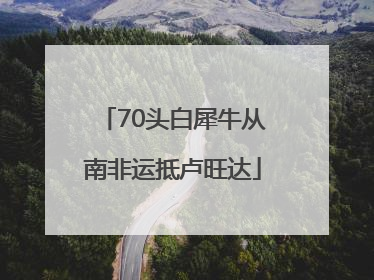 70头白犀牛从南非运抵卢旺达