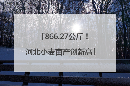 866.27公斤！河北小麦亩产创新高