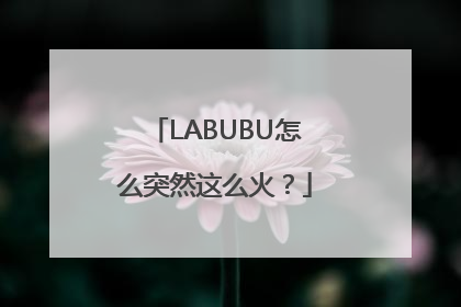 LABUBU怎么突然这么火？