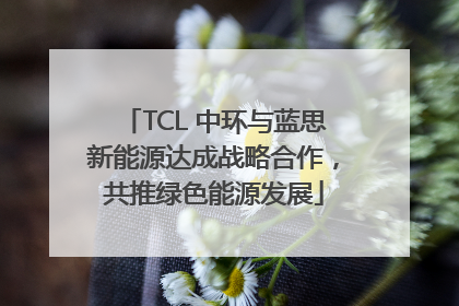 TCL 中环与蓝思新能源达成战略合作，共推绿色能源发展